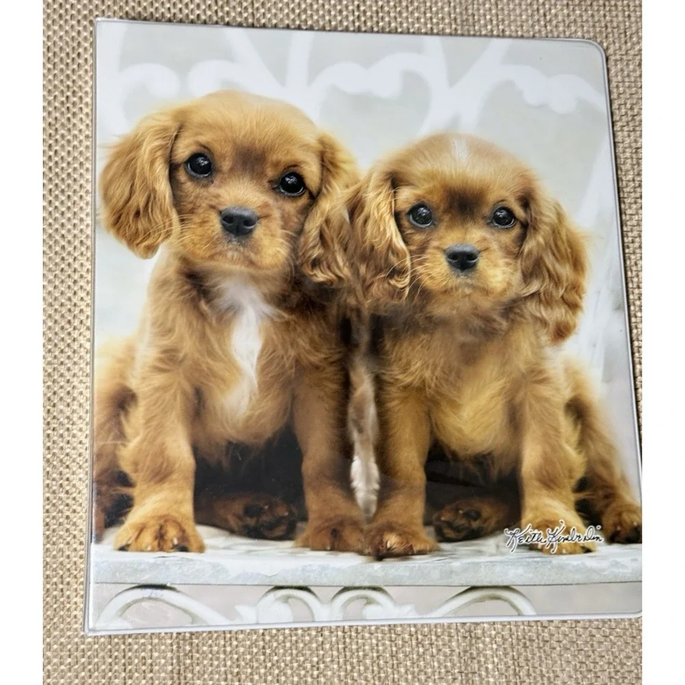 Vtg Class Act Binder Lot Puppy Keith Kimberlin 1